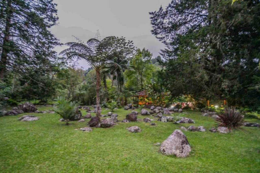 Вилла Finca Punta De Piedra Salento, Quindio Экстерьер фото