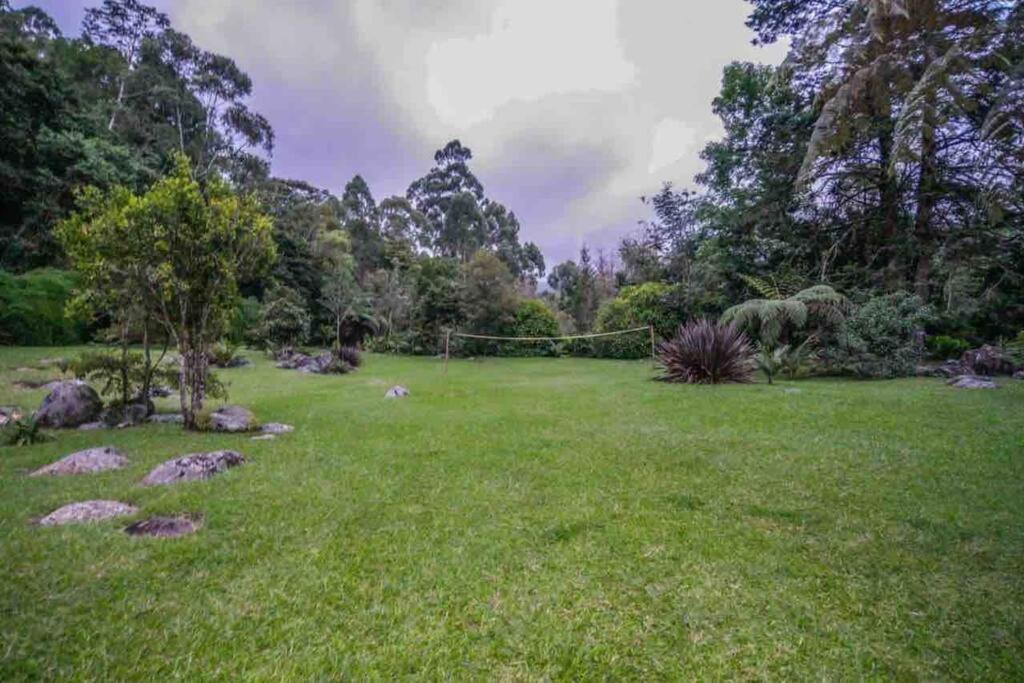 Вилла Finca Punta De Piedra Salento, Quindio Экстерьер фото