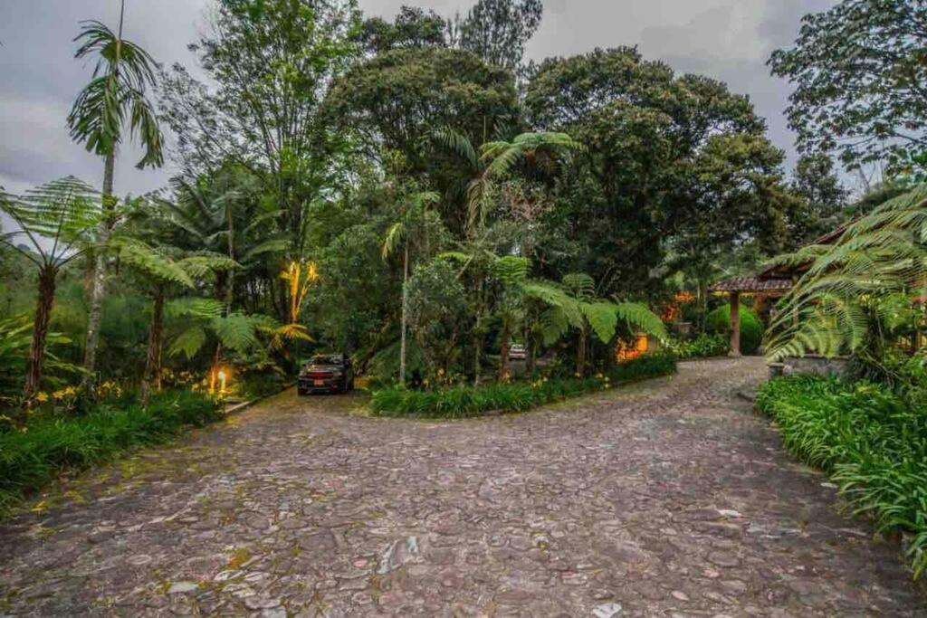 Вилла Finca Punta De Piedra Salento, Quindio Экстерьер фото