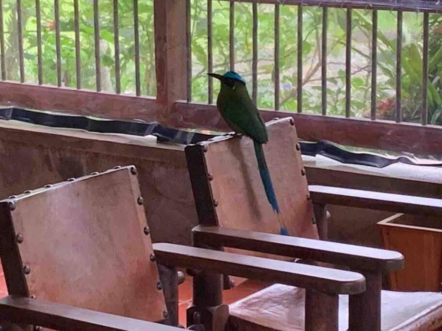 Вилла Finca Punta De Piedra Salento, Quindio Экстерьер фото